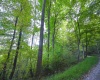 Lot 1 England Road, Philippi, West Virginia 26416, 0 , 0 ,0,Lots/land,For Sale,England,0,10167036