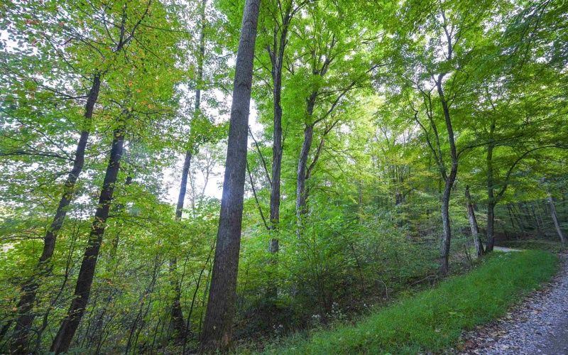 Lot 1 England Road, Philippi, West Virginia 26416, 0 , 0 ,0,Lots/land,For Sale,England,0,10167036