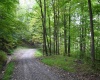 Lot 1 England Road, Philippi, West Virginia 26416, 0 , 0 ,0,Lots/land,For Sale,England,0,10167036