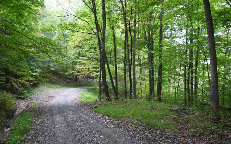 Lot 1 England Road, Philippi, West Virginia 26416, 0 , 0 ,0,Lots/land,For Sale,England,0,10167036