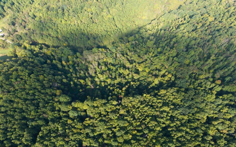 Lot 1 England Road, Philippi, West Virginia 26416, 0 , 0 ,0,Lots/land,For Sale,England,0,10167036