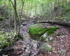 Lot 1 England Road, Philippi, West Virginia 26416, 0 , 0 ,0,Lots/land,For Sale,England,0,10167036