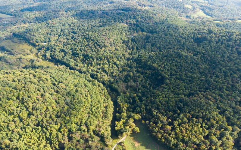 Lot 1 England Road, Philippi, West Virginia 26416, 0 , 0 ,0,Lots/land,For Sale,England,0,10167036