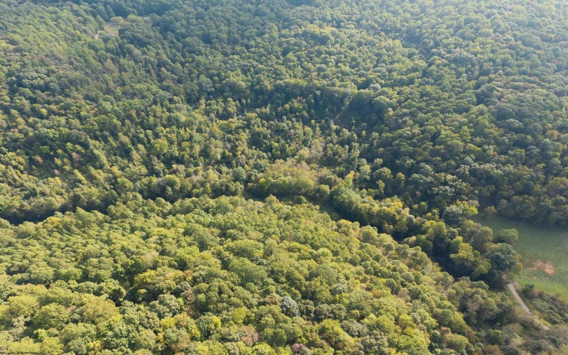 Lot 1 England Road, Philippi, West Virginia 26416, 0 , 0 ,0,Lots/land,For Sale,England,0,10167036