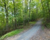 Lot 1 England Road, Philippi, West Virginia 26416, 0 , 0 ,0,Lots/land,For Sale,England,0,10167036