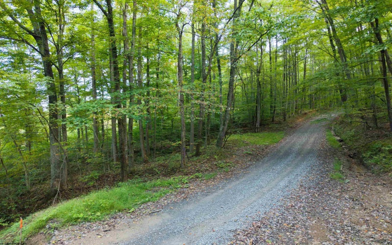 Lot 1 England Road, Philippi, West Virginia 26416, 0 , 0 ,0,Lots/land,For Sale,England,0,10167036