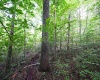 Lot 1 England Road, Philippi, West Virginia 26416, 0 , 0 ,0,Lots/land,For Sale,England,0,10167036