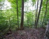Lot 1 England Road, Philippi, West Virginia 26416, 0 , 0 ,0,Lots/land,For Sale,England,0,10167036