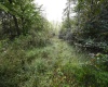 Lot 1 England Road, Philippi, West Virginia 26416, 0 , 0 ,0,Lots/land,For Sale,England,0,10167036