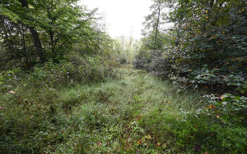 Lot 1 England Road, Philippi, West Virginia 26416, 0 , 0 ,0,Lots/land,For Sale,England,0,10167036