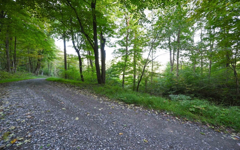 Lot 1 England Road, Philippi, West Virginia 26416, 0 , 0 ,0,Lots/land,For Sale,England,0,10167036