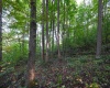 Lot 1 England Road, Philippi, West Virginia 26416, 0 , 0 ,0,Lots/land,For Sale,England,0,10167036