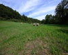 2762 Upper Pleasant Creek Road, Philippi, West Virginia 26416, 3 Bedroom Bedrooms, 6 Room Rooms,2 BathroomBathrooms,Single Family Detached,For Sale,Upper Pleasant Creek,0,10167039