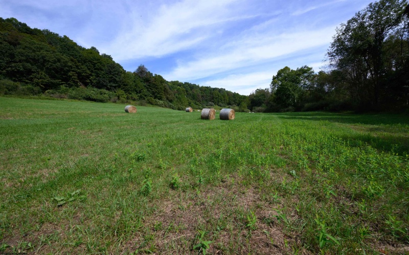 2762 Upper Pleasant Creek Road, Philippi, West Virginia 26416, 3 Bedroom Bedrooms, 6 Room Rooms,2 BathroomBathrooms,Single Family Detached,For Sale,Upper Pleasant Creek,0,10167039