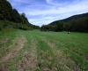 2762 Upper Pleasant Creek Road, Philippi, West Virginia 26416, 3 Bedroom Bedrooms, 6 Room Rooms,2 BathroomBathrooms,Single Family Detached,For Sale,Upper Pleasant Creek,0,10167039