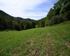 2762 Upper Pleasant Creek Road, Philippi, West Virginia 26416, 3 Bedroom Bedrooms, 6 Room Rooms,2 BathroomBathrooms,Single Family Detached,For Sale,Upper Pleasant Creek,0,10167039