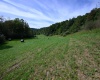 2762 Upper Pleasant Creek Road, Philippi, West Virginia 26416, 3 Bedroom Bedrooms, 6 Room Rooms,2 BathroomBathrooms,Single Family Detached,For Sale,Upper Pleasant Creek,0,10167039