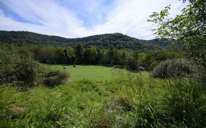 2762 Upper Pleasant Creek Road, Philippi, West Virginia 26416, 3 Bedroom Bedrooms, 6 Room Rooms,2 BathroomBathrooms,Single Family Detached,For Sale,Upper Pleasant Creek,0,10167039