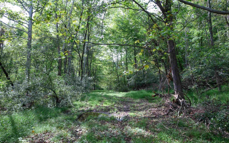 2762 Upper Pleasant Creek Road, Philippi, West Virginia 26416, 3 Bedroom Bedrooms, 6 Room Rooms,2 BathroomBathrooms,Single Family Detached,For Sale,Upper Pleasant Creek,0,10167039