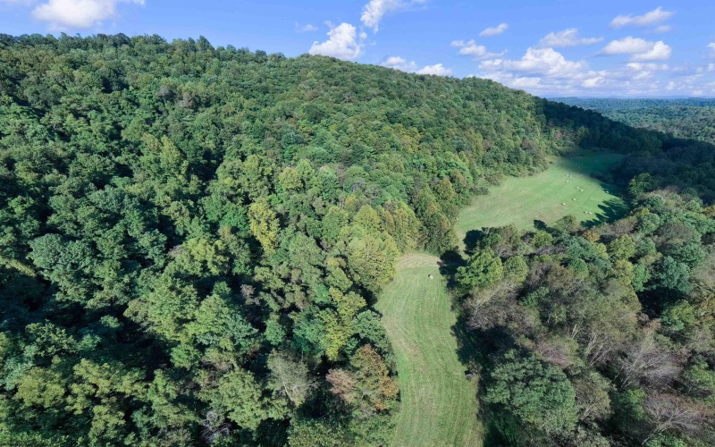 2762 Upper Pleasant Creek Road, Philippi, West Virginia 26416, 3 Bedroom Bedrooms, 6 Room Rooms,2 BathroomBathrooms,Single Family Detached,For Sale,Upper Pleasant Creek,0,10167039