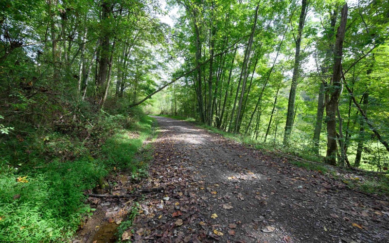 2762 Upper Pleasant Creek Road, Philippi, West Virginia 26416, 3 Bedroom Bedrooms, 6 Room Rooms,2 BathroomBathrooms,Single Family Detached,For Sale,Upper Pleasant Creek,0,10167039