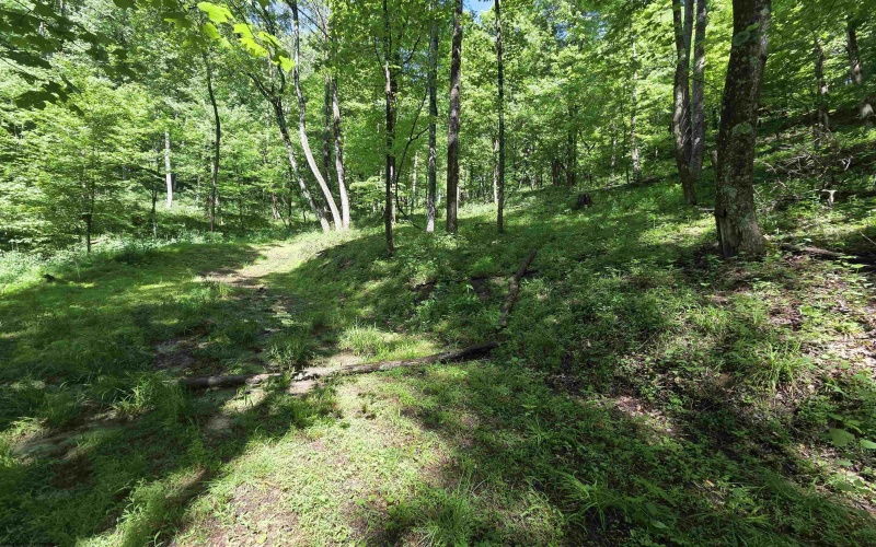 1271 Big Mill Run Road, Parsons, West Virginia 26287, 0 , 0 ,0,Lots/land,For Sale,Big Mill Run,0,10167050