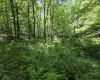 1271 Big Mill Run Road, Parsons, West Virginia 26287, 0 , 0 ,0,Lots/land,For Sale,Big Mill Run,0,10167050