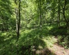 1271 Big Mill Run Road, Parsons, West Virginia 26287, 0 , 0 ,0,Lots/land,For Sale,Big Mill Run,0,10167050