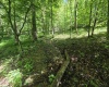 1271 Big Mill Run Road, Parsons, West Virginia 26287, 0 , 0 ,0,Lots/land,For Sale,Big Mill Run,0,10167050