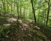 1271 Big Mill Run Road, Parsons, West Virginia 26287, 0 , 0 ,0,Lots/land,For Sale,Big Mill Run,0,10167050