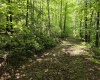 1271 Big Mill Run Road, Parsons, West Virginia 26287, 0 , 0 ,0,Lots/land,For Sale,Big Mill Run,0,10167050
