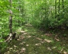 1271 Big Mill Run Road, Parsons, West Virginia 26287, 0 , 0 ,0,Lots/land,For Sale,Big Mill Run,0,10167050