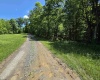 1271 Big Mill Run Road, Parsons, West Virginia 26287, 0 , 0 ,0,Lots/land,For Sale,Big Mill Run,0,10167050