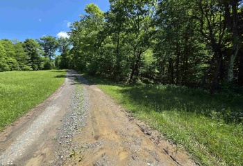 1271 Big Mill Run Road, Parsons, West Virginia 26287, 0 , 0 ,0,Lots/land,For Sale,Big Mill Run,0,10167050