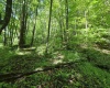 1271 Big Mill Run Road, Parsons, West Virginia 26287, 0 , 0 ,0,Lots/land,For Sale,Big Mill Run,0,10167050