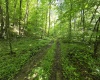 1271 Big Mill Run Road, Parsons, West Virginia 26287, 0 , 0 ,0,Lots/land,For Sale,Big Mill Run,0,10167050
