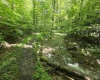 1271 Big Mill Run Road, Parsons, West Virginia 26287, 0 , 0 ,0,Lots/land,For Sale,Big Mill Run,0,10167050