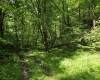 1271 Big Mill Run Road, Parsons, West Virginia 26287, 0 , 0 ,0,Lots/land,For Sale,Big Mill Run,0,10167050