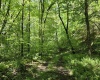 1271 Big Mill Run Road, Parsons, West Virginia 26287, 0 , 0 ,0,Lots/land,For Sale,Big Mill Run,0,10167050