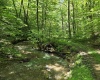 1271 Big Mill Run Road, Parsons, West Virginia 26287, 0 , 0 ,0,Lots/land,For Sale,Big Mill Run,0,10167050