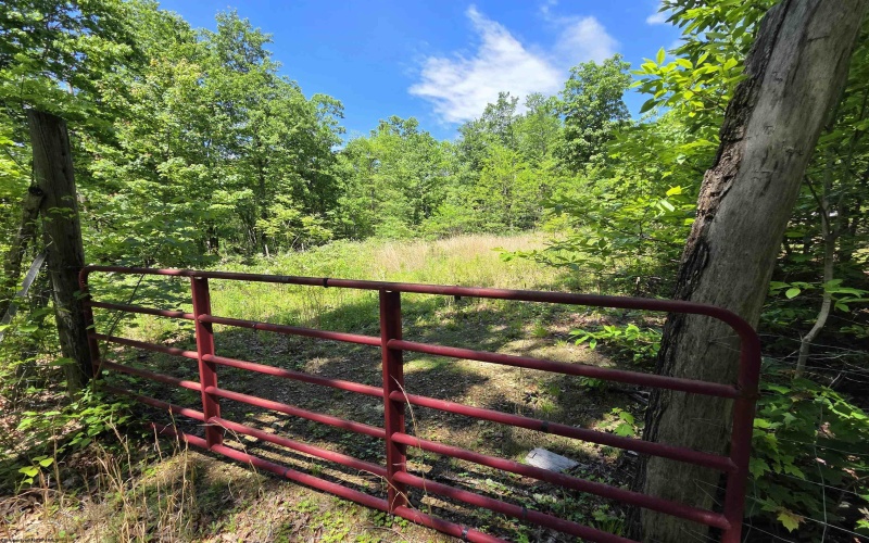1271 Big Mill Run Road, Parsons, West Virginia 26287, 0 , 0 ,0,Lots/land,For Sale,Big Mill Run,0,10167050