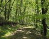 1271 Big Mill Run Road, Parsons, West Virginia 26287, 0 , 0 ,0,Lots/land,For Sale,Big Mill Run,0,10167050