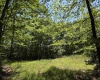 1271 Big Mill Run Road, Parsons, West Virginia 26287, 0 , 0 ,0,Lots/land,For Sale,Big Mill Run,0,10167050