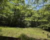1271 Big Mill Run Road, Parsons, West Virginia 26287, 0 , 0 ,0,Lots/land,For Sale,Big Mill Run,0,10167050
