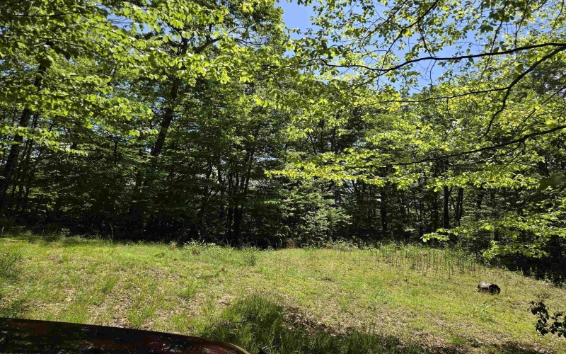 1271 Big Mill Run Road, Parsons, West Virginia 26287, 0 , 0 ,0,Lots/land,For Sale,Big Mill Run,0,10167050