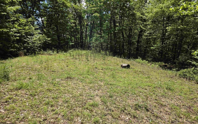 1271 Big Mill Run Road, Parsons, West Virginia 26287, 0 , 0 ,0,Lots/land,For Sale,Big Mill Run,0,10167050