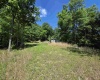 1271 Big Mill Run Road, Parsons, West Virginia 26287, 0 , 0 ,0,Lots/land,For Sale,Big Mill Run,0,10167050