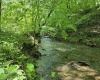 1271 Big Mill Run Road, Parsons, West Virginia 26287, 0 , 0 ,0,Lots/land,For Sale,Big Mill Run,0,10167050