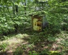 1271 Big Mill Run Road, Parsons, West Virginia 26287, 0 , 0 ,0,Lots/land,For Sale,Big Mill Run,0,10167050