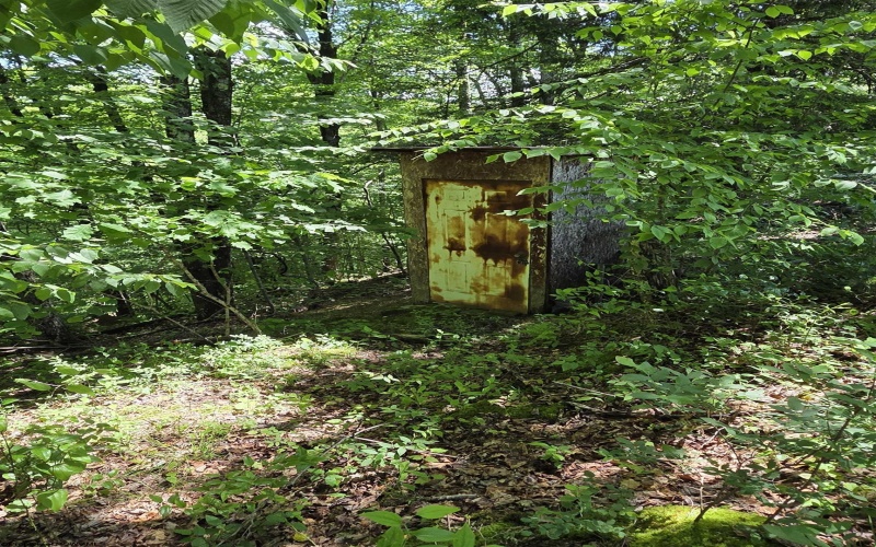1271 Big Mill Run Road, Parsons, West Virginia 26287, 0 , 0 ,0,Lots/land,For Sale,Big Mill Run,0,10167050
